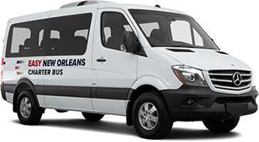 15 Passenger Minibus