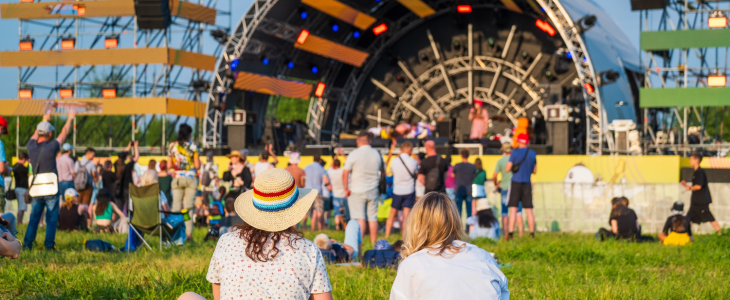 an audience at a music festival